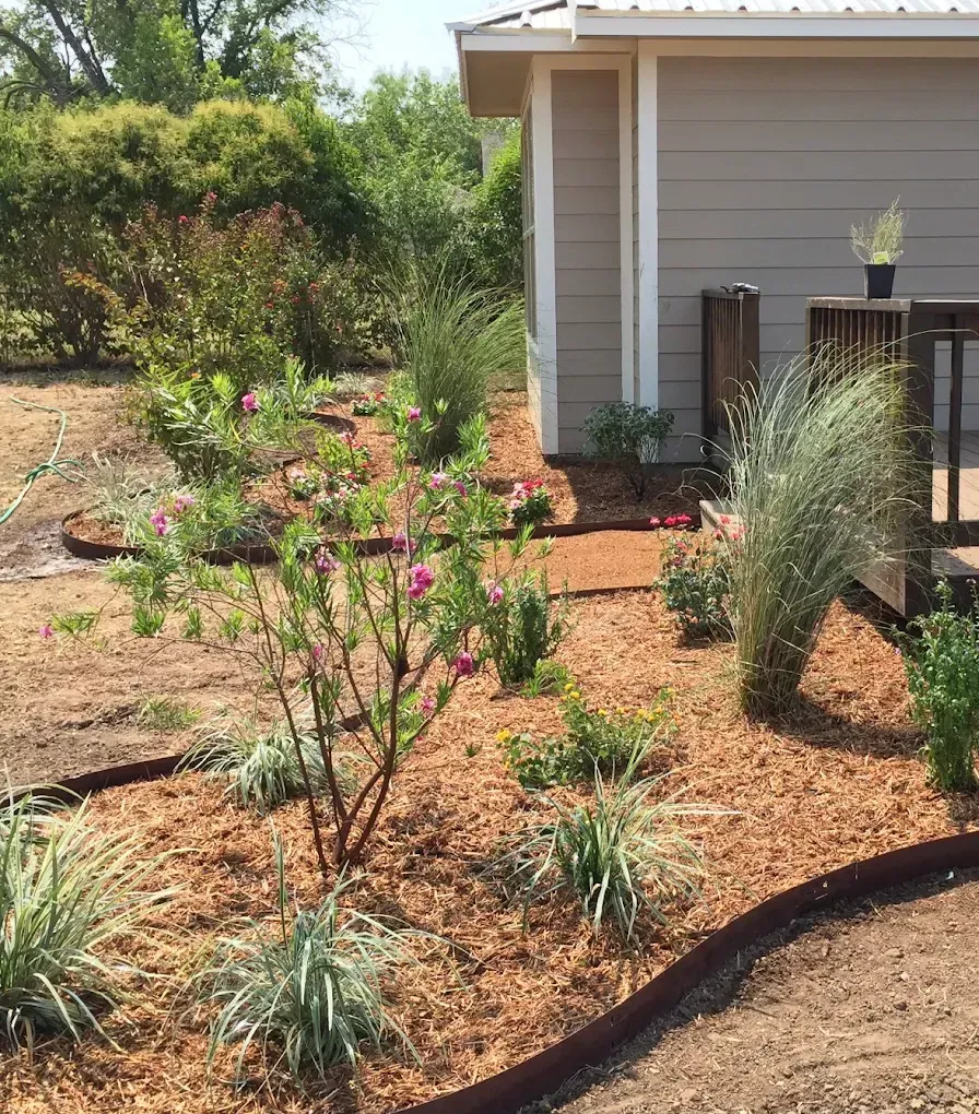 Small landscaped garden with pink flowers and ornamental grasses beside a house and deck.