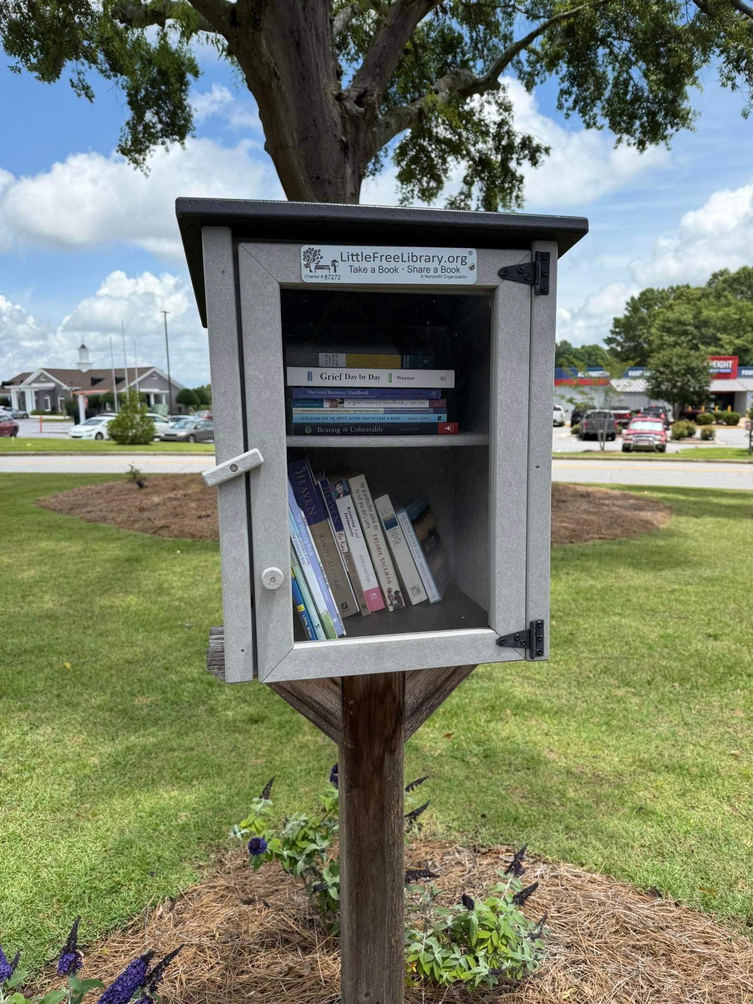 Little Free Library book box mounted on a tree in a grassy park.