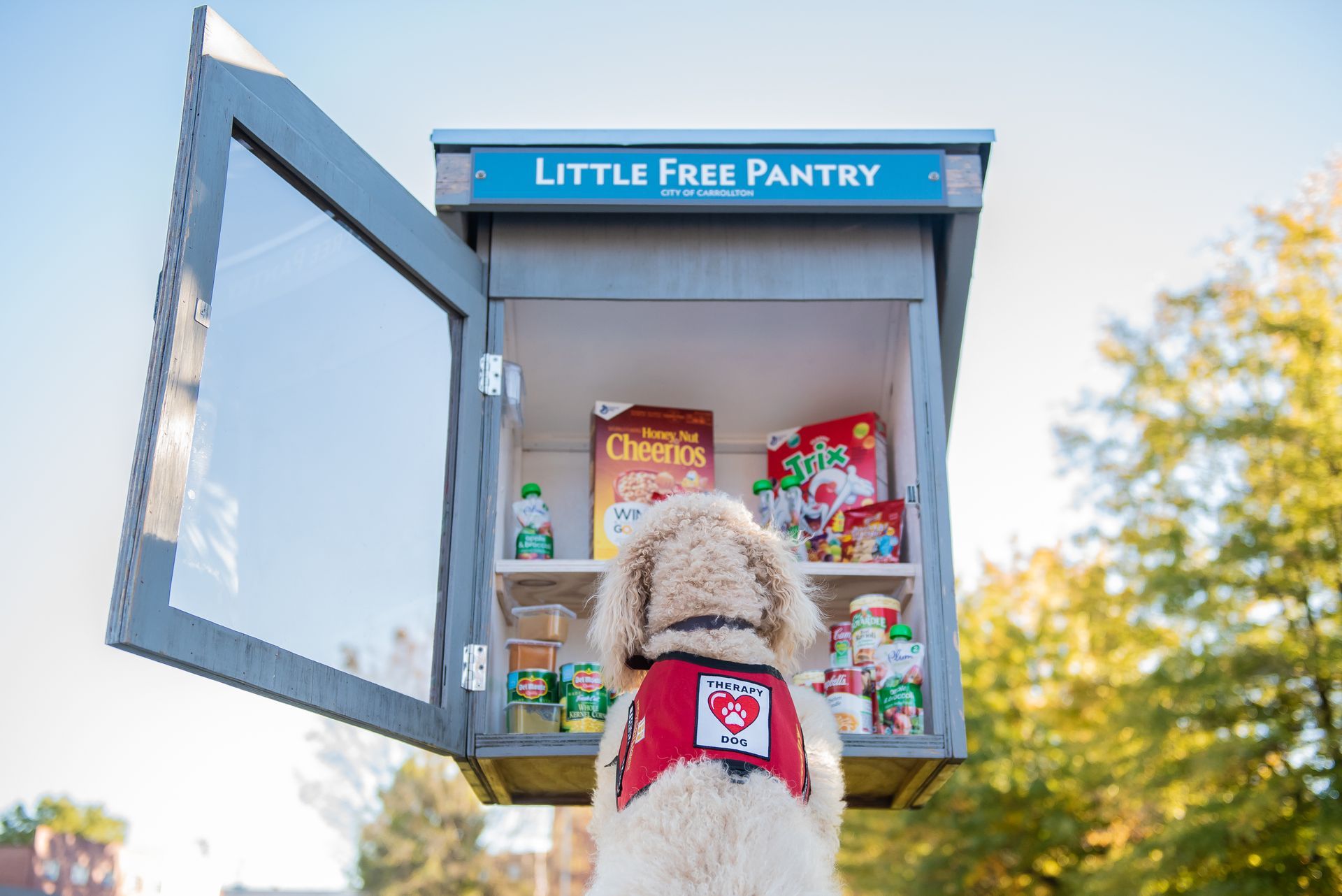 Small outdoor “Little Free Pantry” box with a dog facing shelves of donated food.