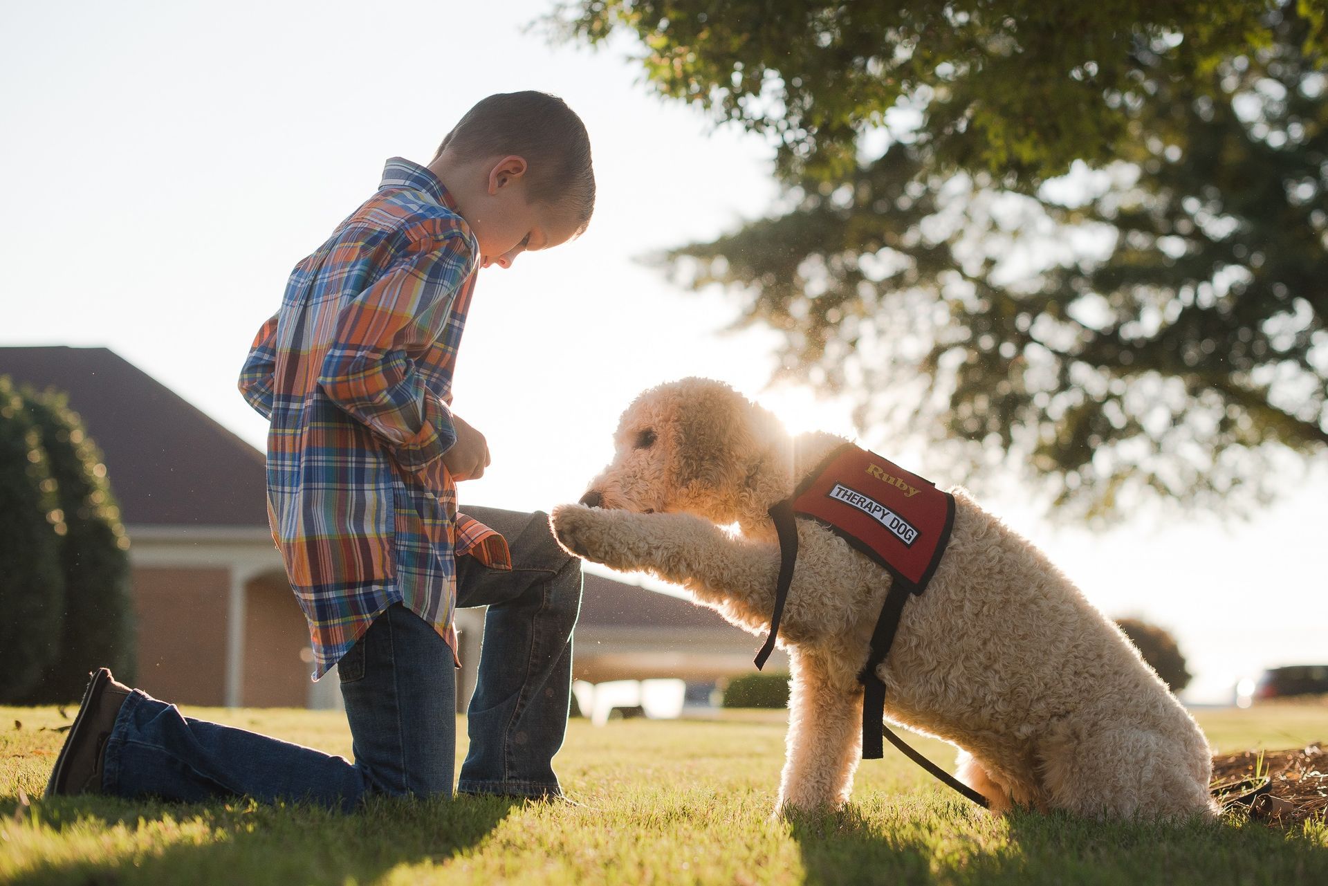 Child kneeling to greet a service dog wearing a harness in a sunny suburban yard