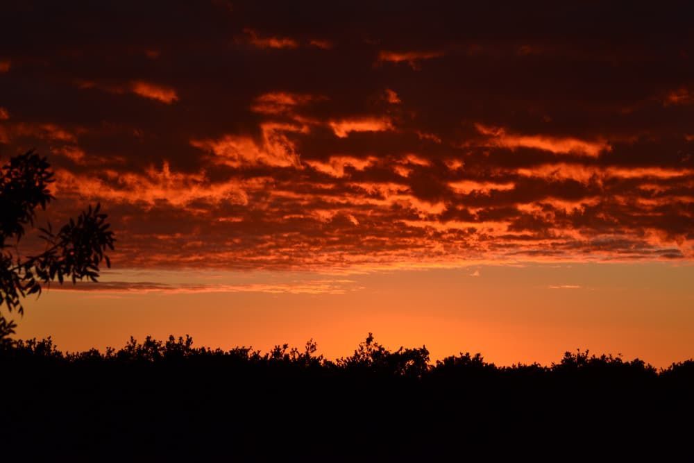 Bright Sunrise In Griffith, NSW Australia - Graphic Designer in Wagga Wagga, NSW