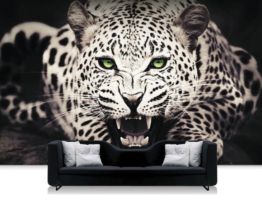 Wall Art - Graphic Designer in Wagga Wagga, NSW