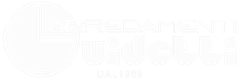 Logo Guidetti bianco