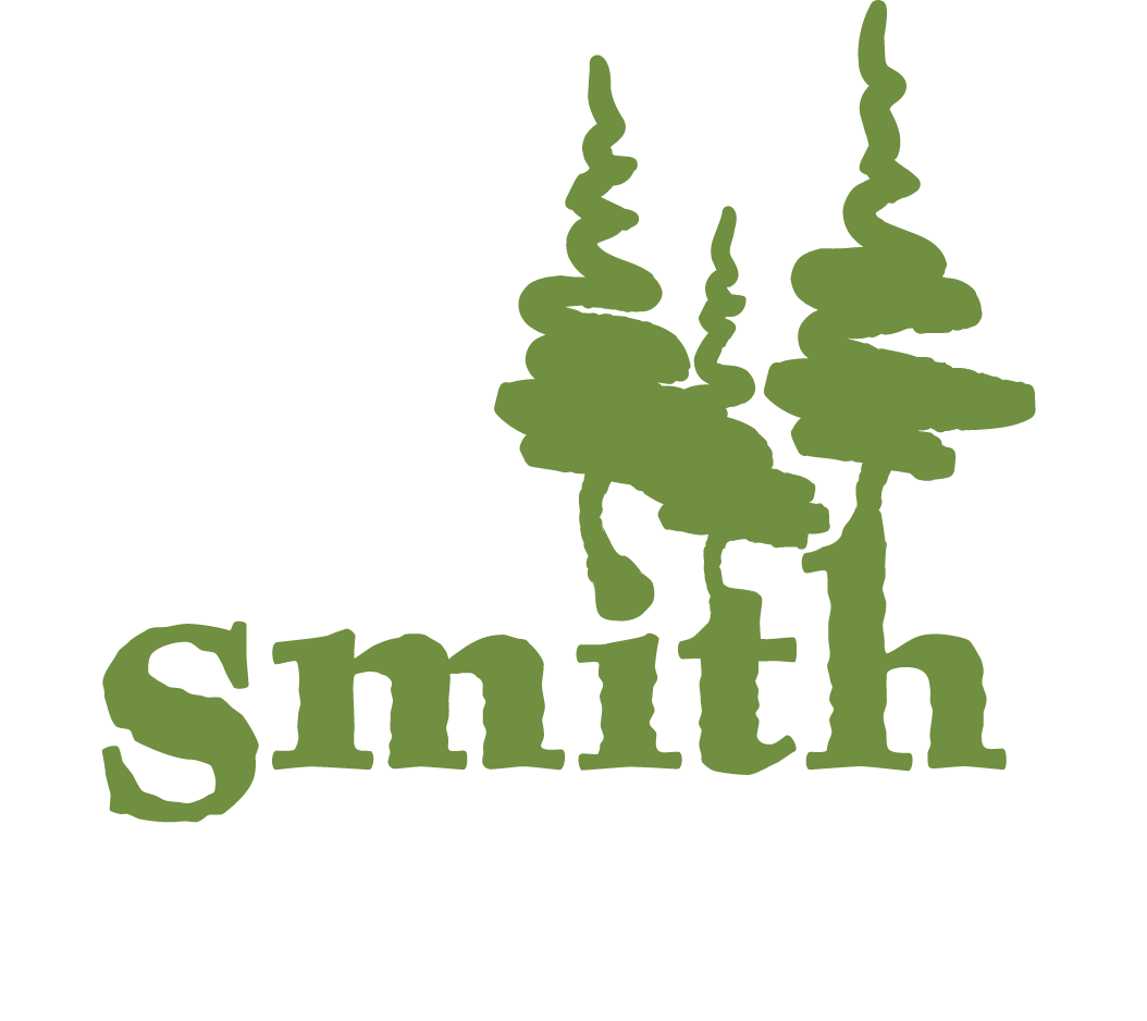Real Estate Agent in Madison, MS | Tom Smith Land And Homes Real Estate Agent in Madison, MS | Tom Smith Land And Homes