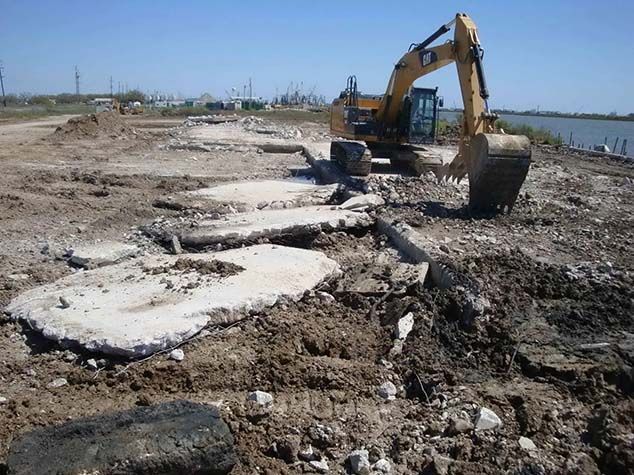 ENVIRONMENTAL FIELD SERVICES