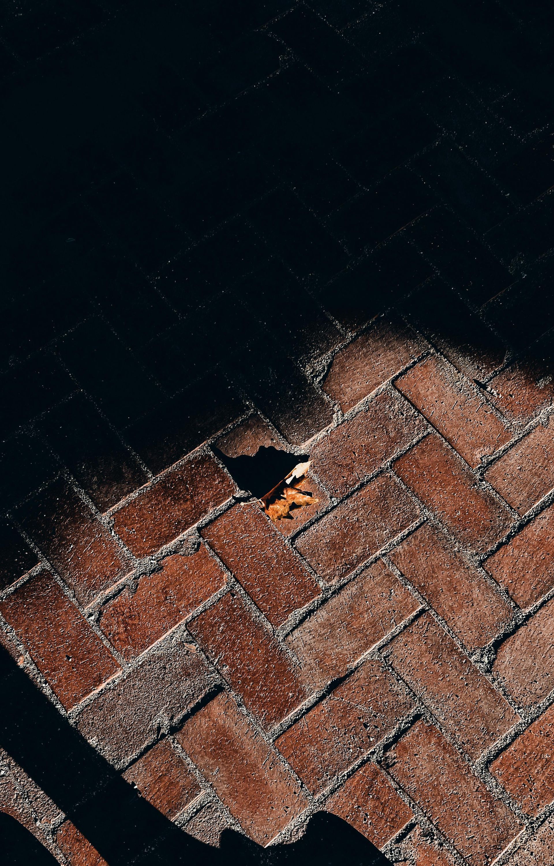 Weathered red brick pavement beside dark water, with a small broken section near the edge