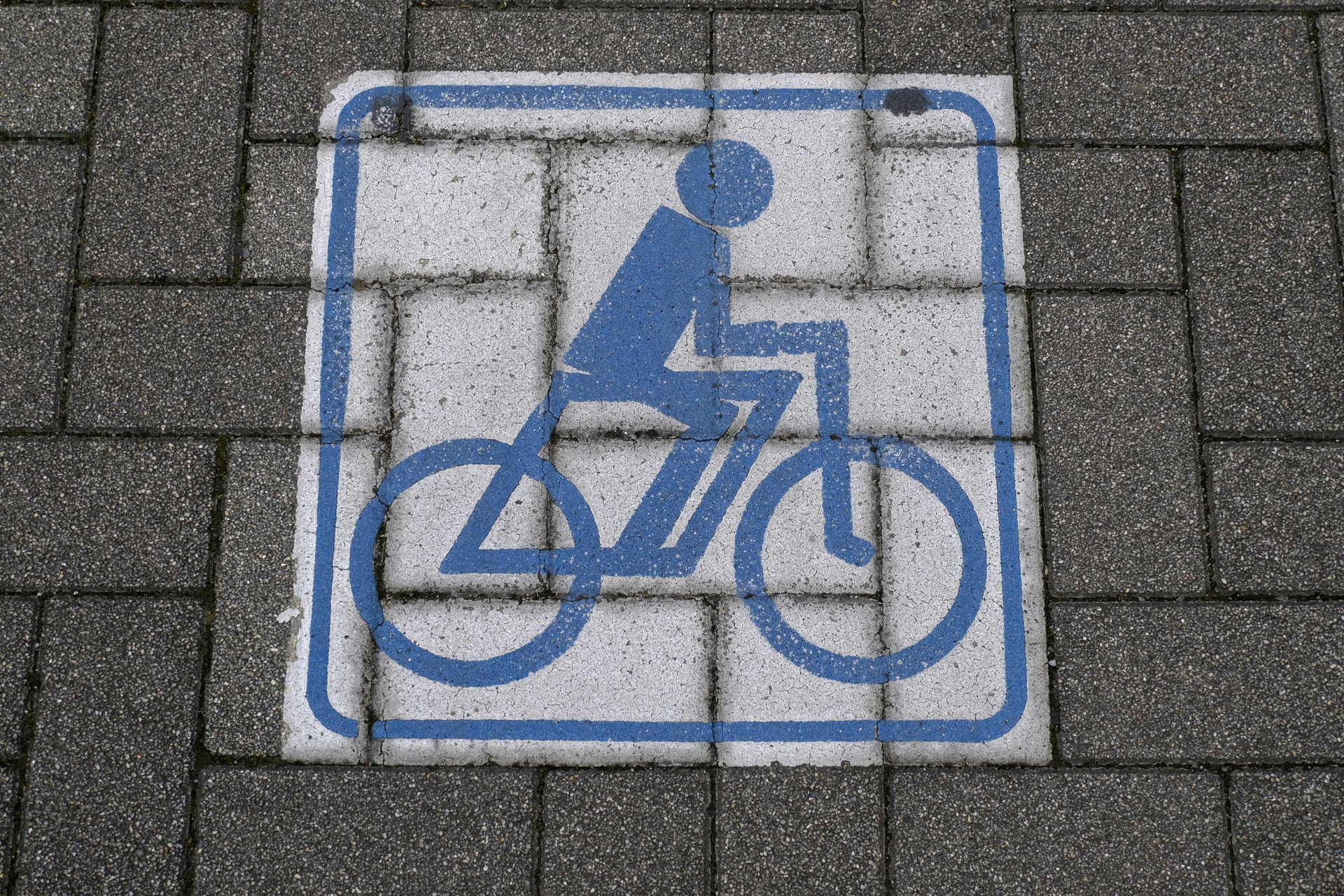 Blue bicycle lane sign painted on gray pavement