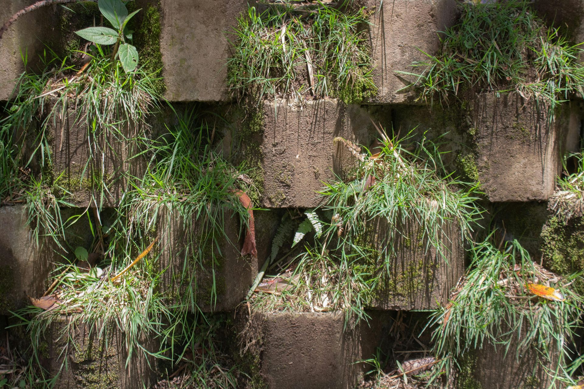 Vertical wall of stacked concrete planters filled with green grass and small orange flowers