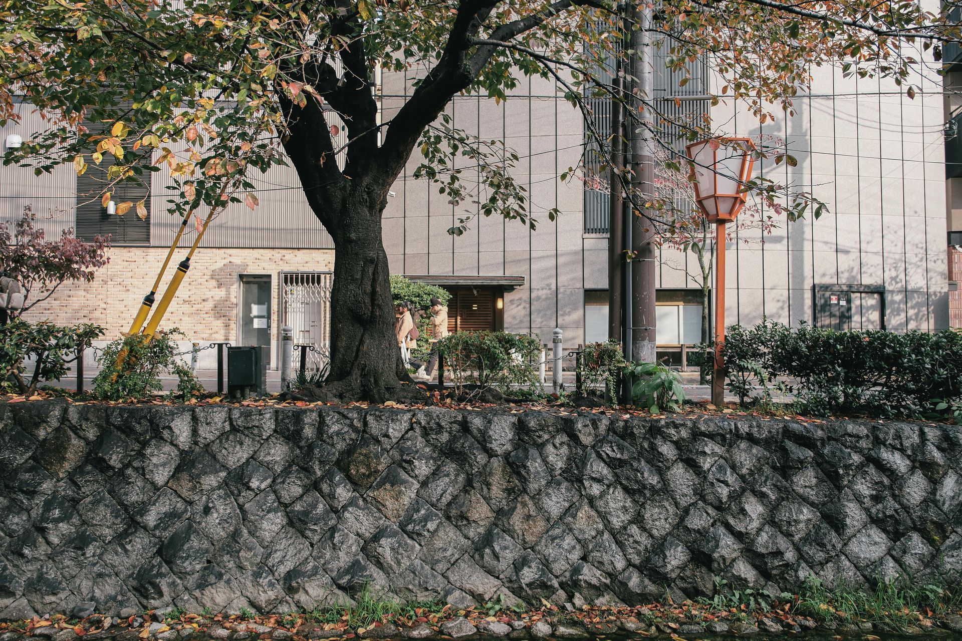 Stone wall with trees in front of a building and a fenced walkway, seen in autumn.