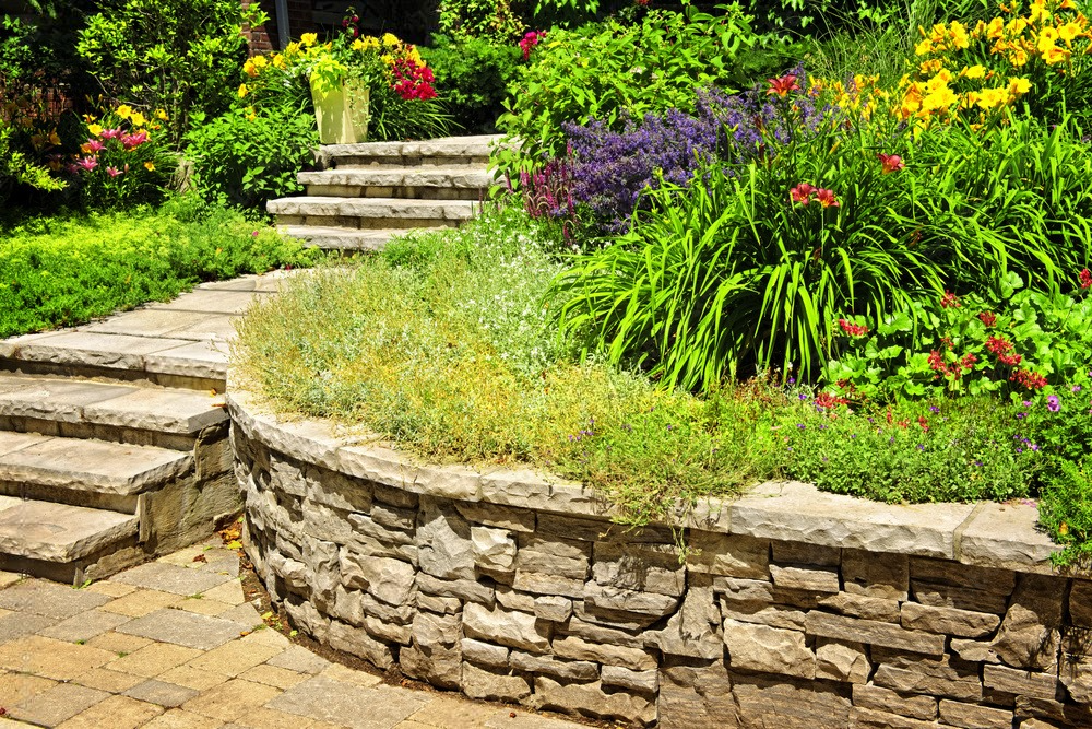 Neatly trimmed hedge beside a gravel garden path, with a house and lush greenery in the background