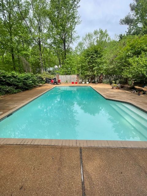 A large swimming pool in a backyard surrounded by trees
