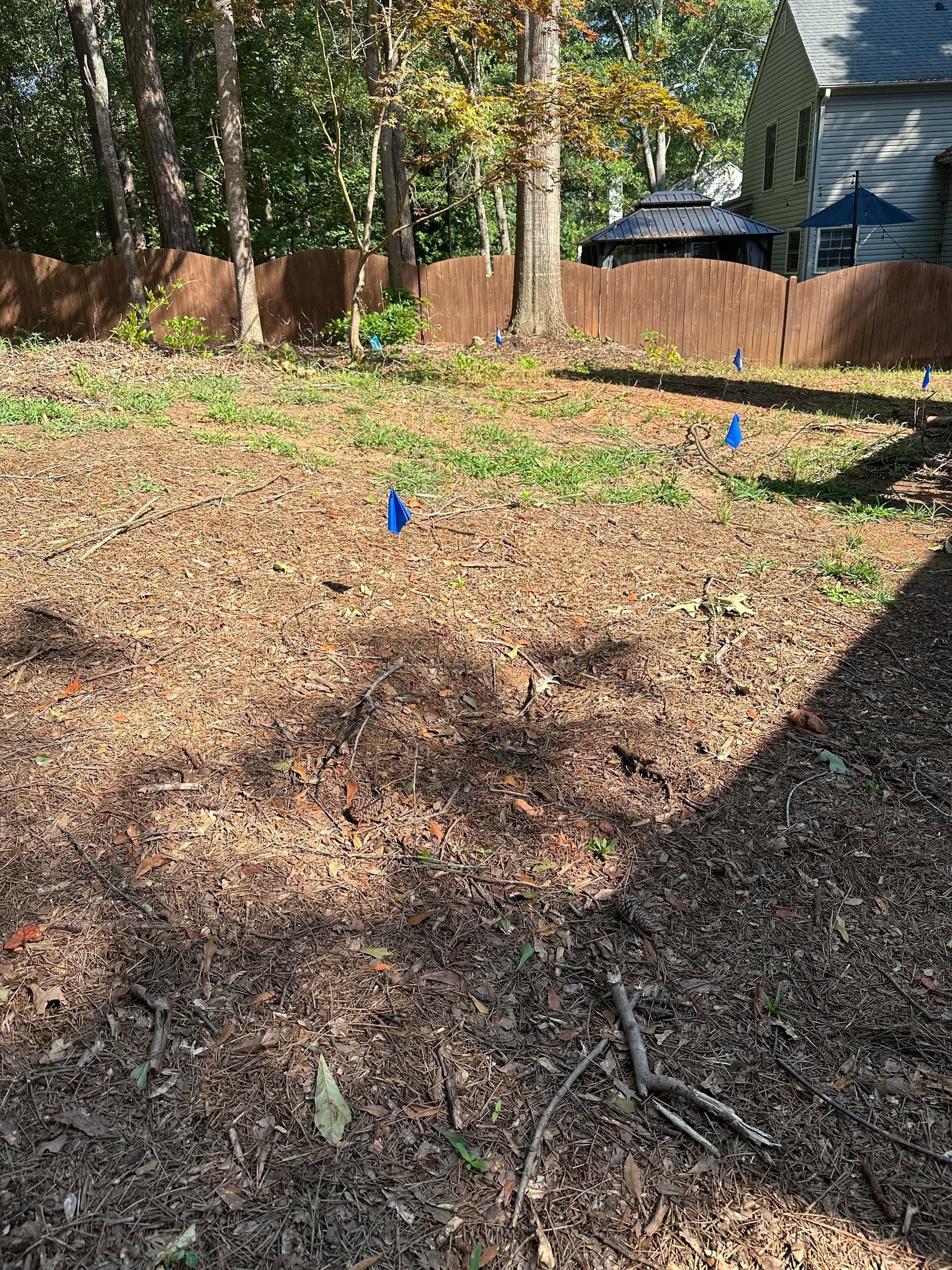 Backyard with brown mulch, blue flags, trees, brown fence, and a gazebo.