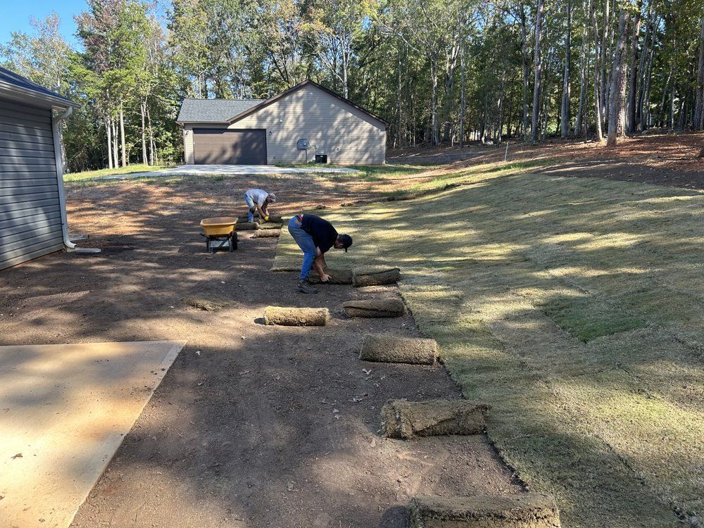 Workers laying sod rolls in a yard near a building, with trees in the background.