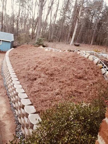 A large bed of brown pine needles, enclosed by a retaining wall in a yard, with a small blue building in the background.