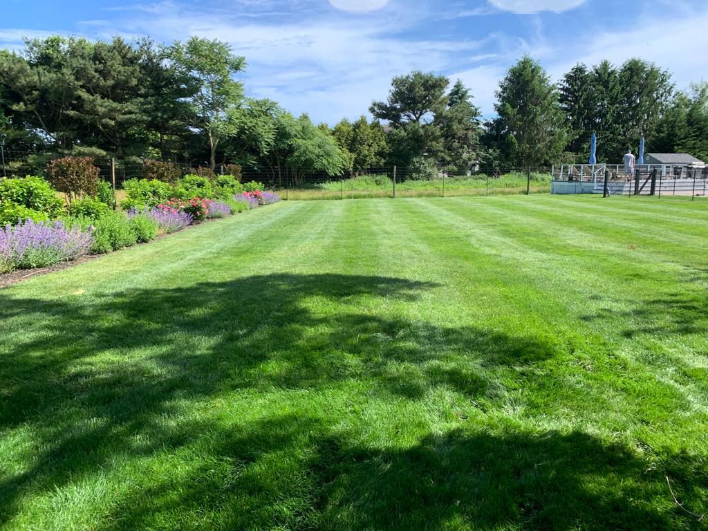 Dreamyard Landscaping, Inc. | Lawn Service - Southampton, NY Lush green lawn with fresh-cut stripes, purple flowers, and trees under a blue sky.
