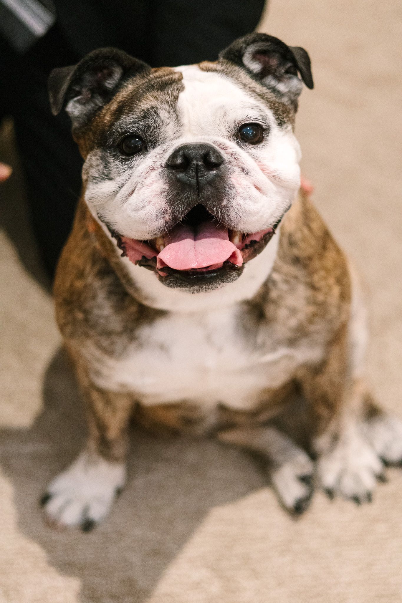 Staff Photo