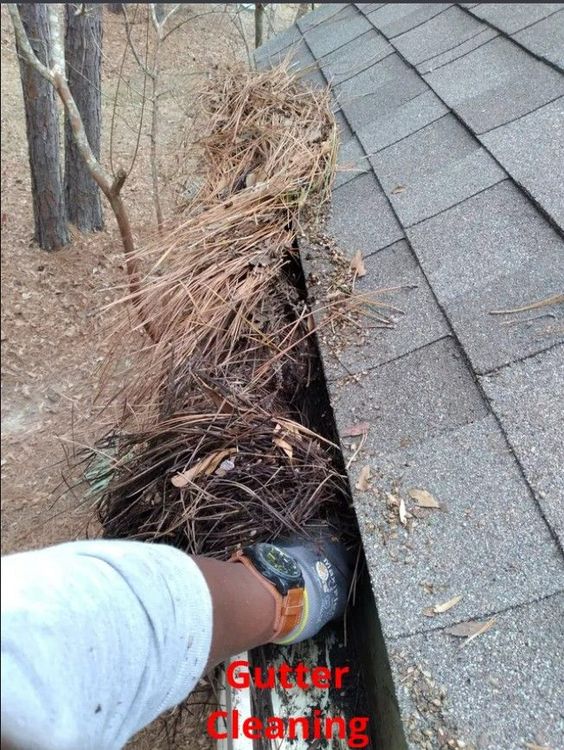 A gloved hand removes a large accumulation of pine needles and debris from a residential roof gutter.