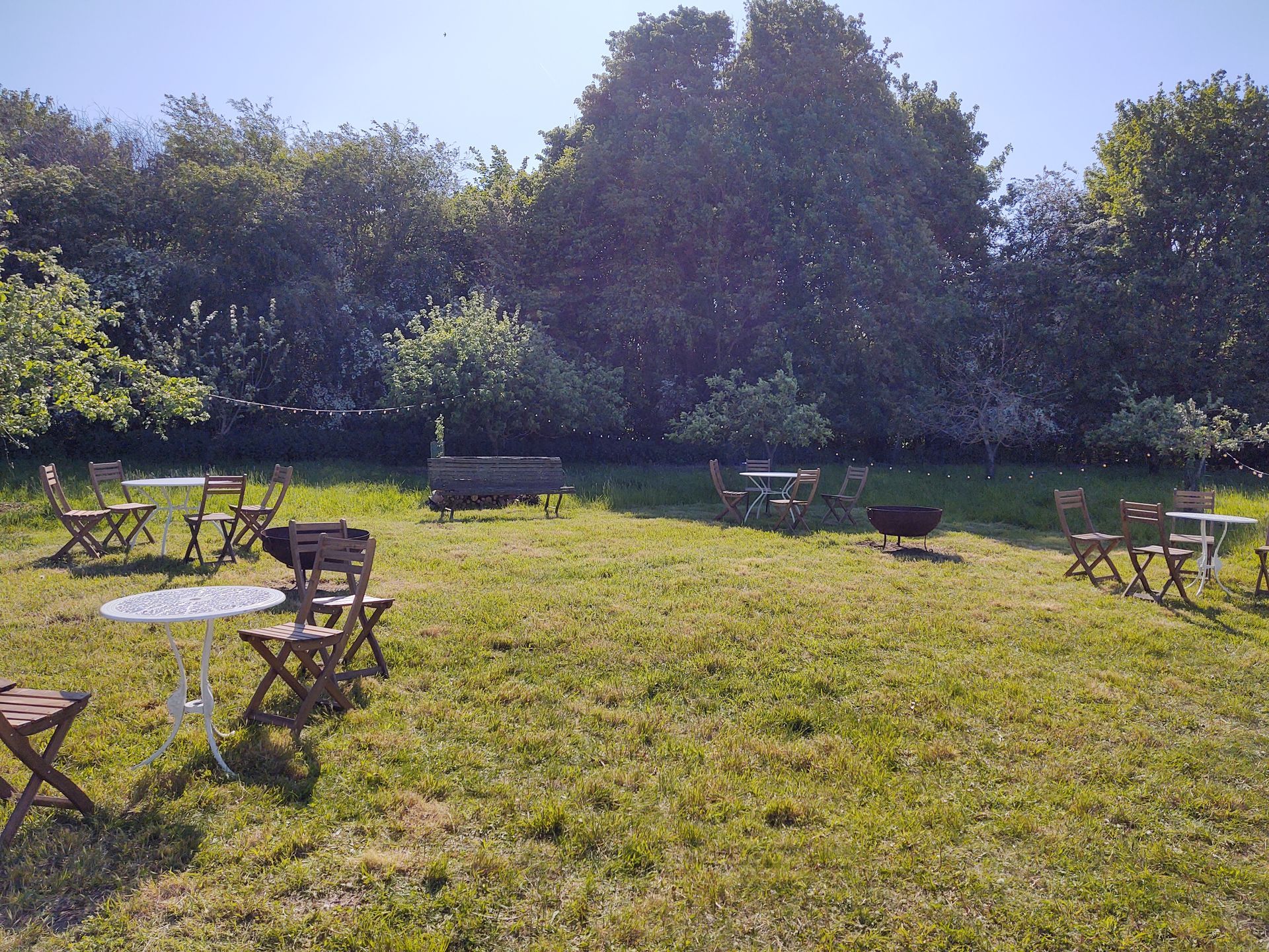 Outdoor grassy area with scattered café tables and chairs beside a line of trees in bright sunlight