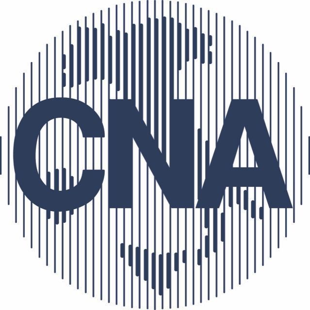 Logo CNA in blu scuro su un globo formato da strisce verticali.