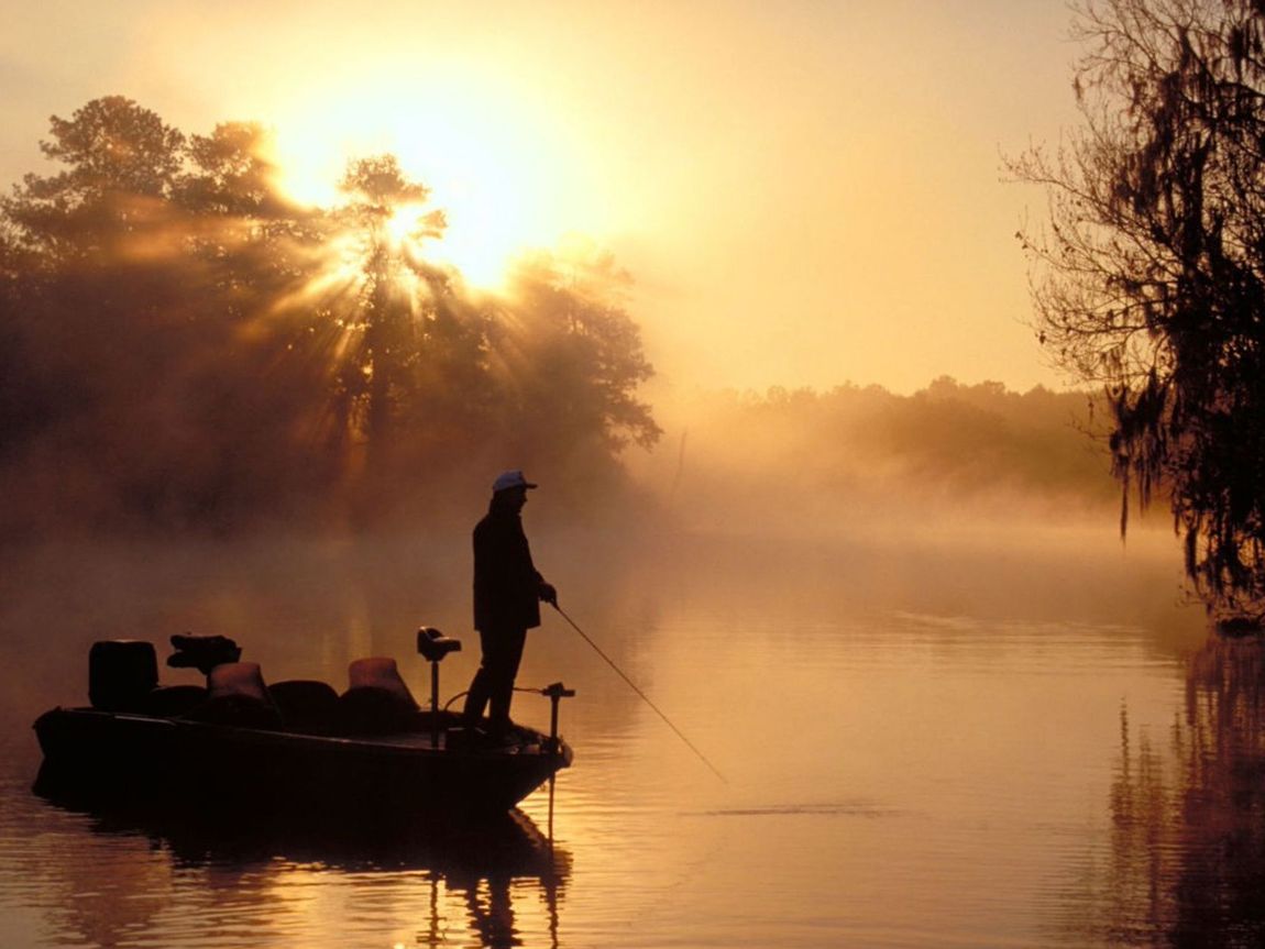 About Music City Bass Fishing Organization