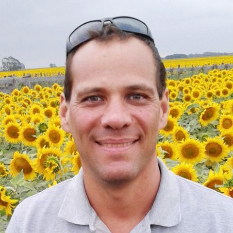 un hombre con gafas de sol está parado frente a un campo de girasoles.
