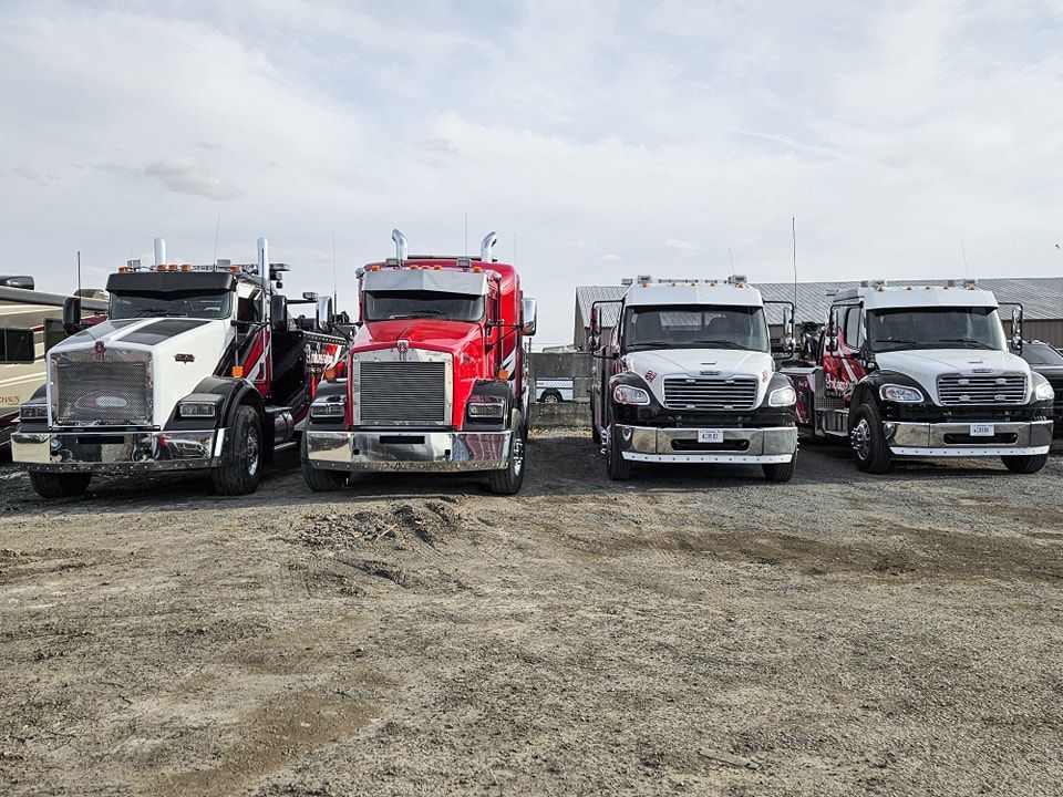 Four tow trucks parked outdoors. Two are red, two are white/black.