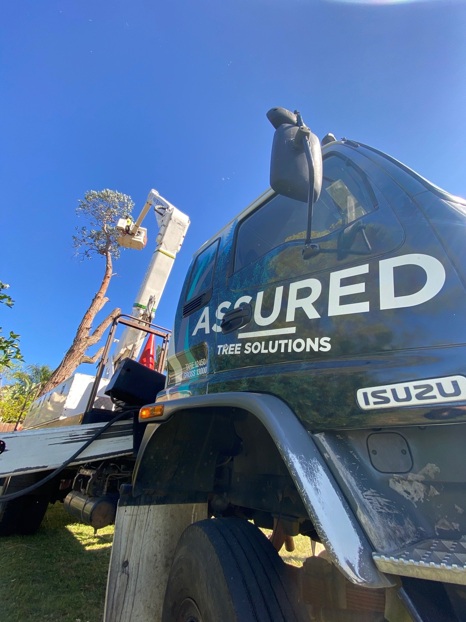 Quality Tree Care Solutions Assured Tree Solutions