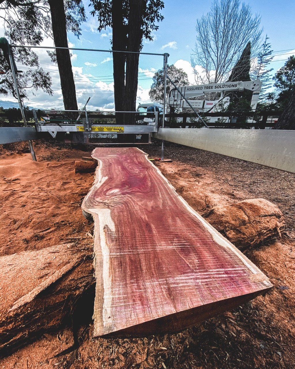 tree removal