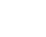 Logo Icon White