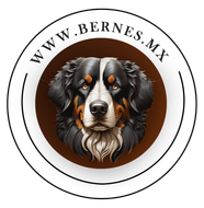 bernes de la montaña logo 2