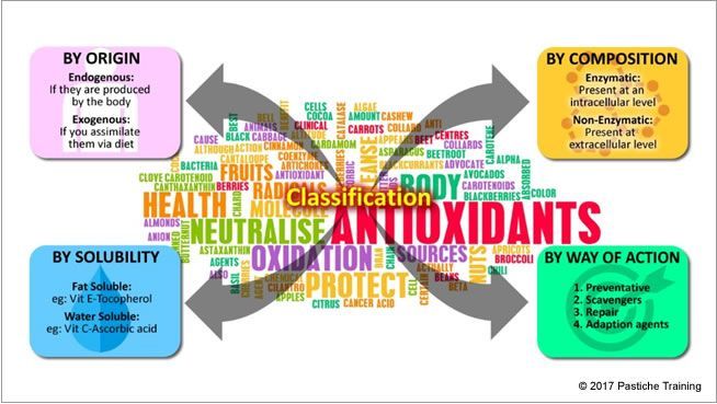A diagram showing the different types of antioxidants