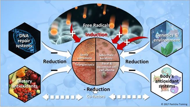 A diagram showing different types of reduction in the body