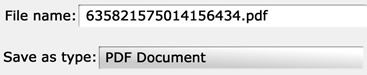 A screenshot of a pdf document being saved