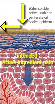 A diagram showing how water soluble active unable to penetrate oil sealed epidermis intended active ingredient path