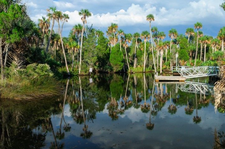 Pond Experts in Spring Hill, FL | Installation & Care