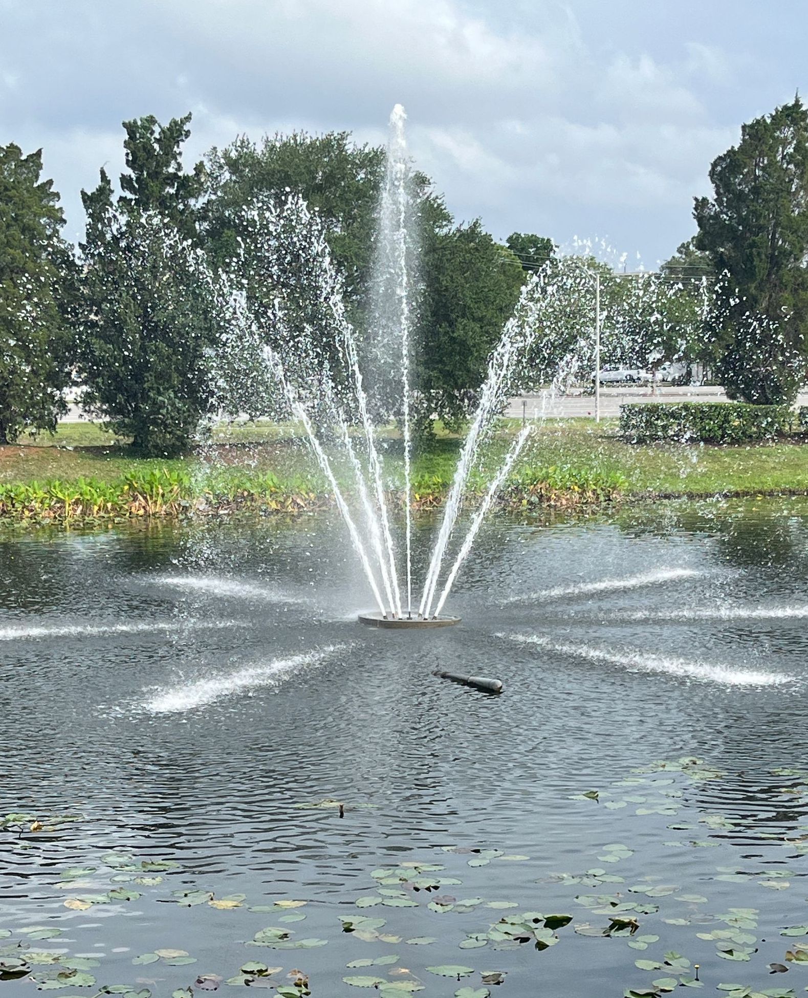 floating fountain in a small decorative lake near a shopping mall in Tampa