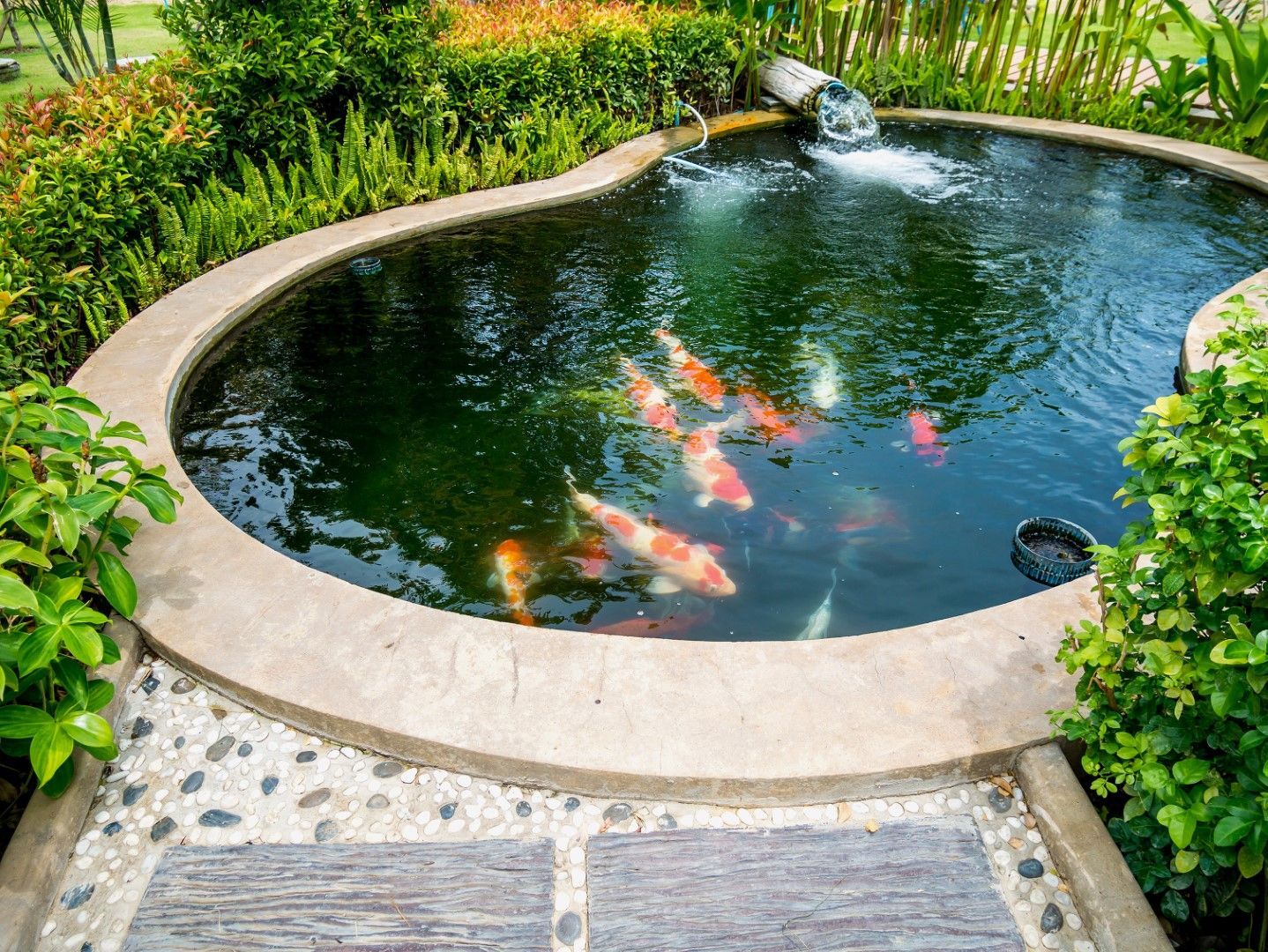 Citrus Park garden pond with a fountain and concrete edges in spring