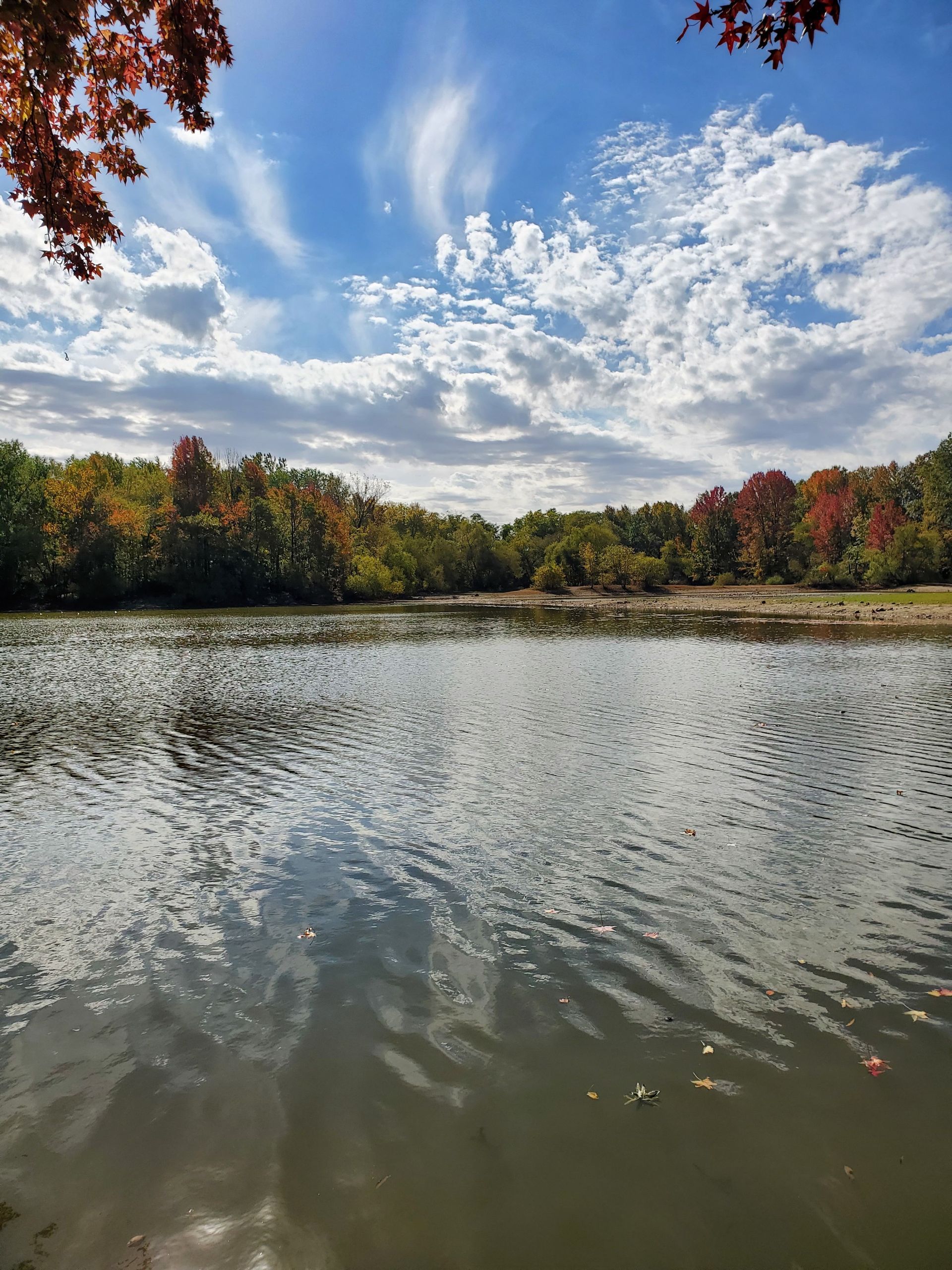 Calm lake with rippling water, autumn trees, and dramatic clouds under a bright blue sky