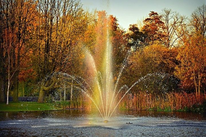 Park fountain with colorful trees in a serene setting