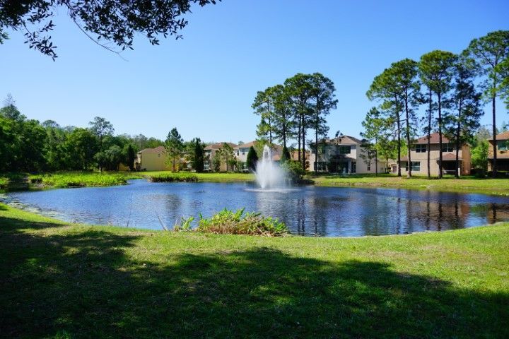 Pond surrounded by greenery and trees near a residential area