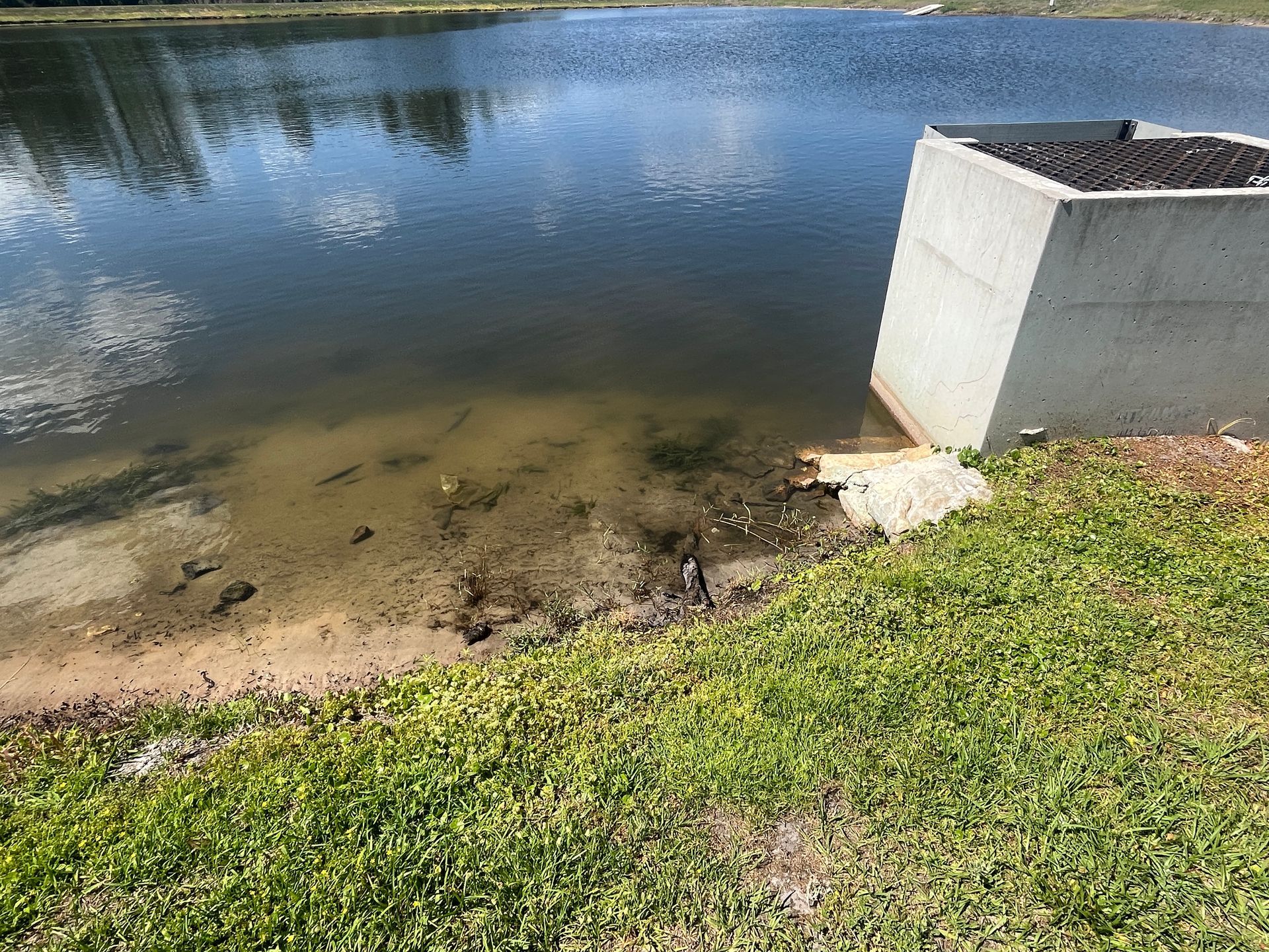 Shoreline beside a pond with grass, sandy bank, and a concrete water outlet structure