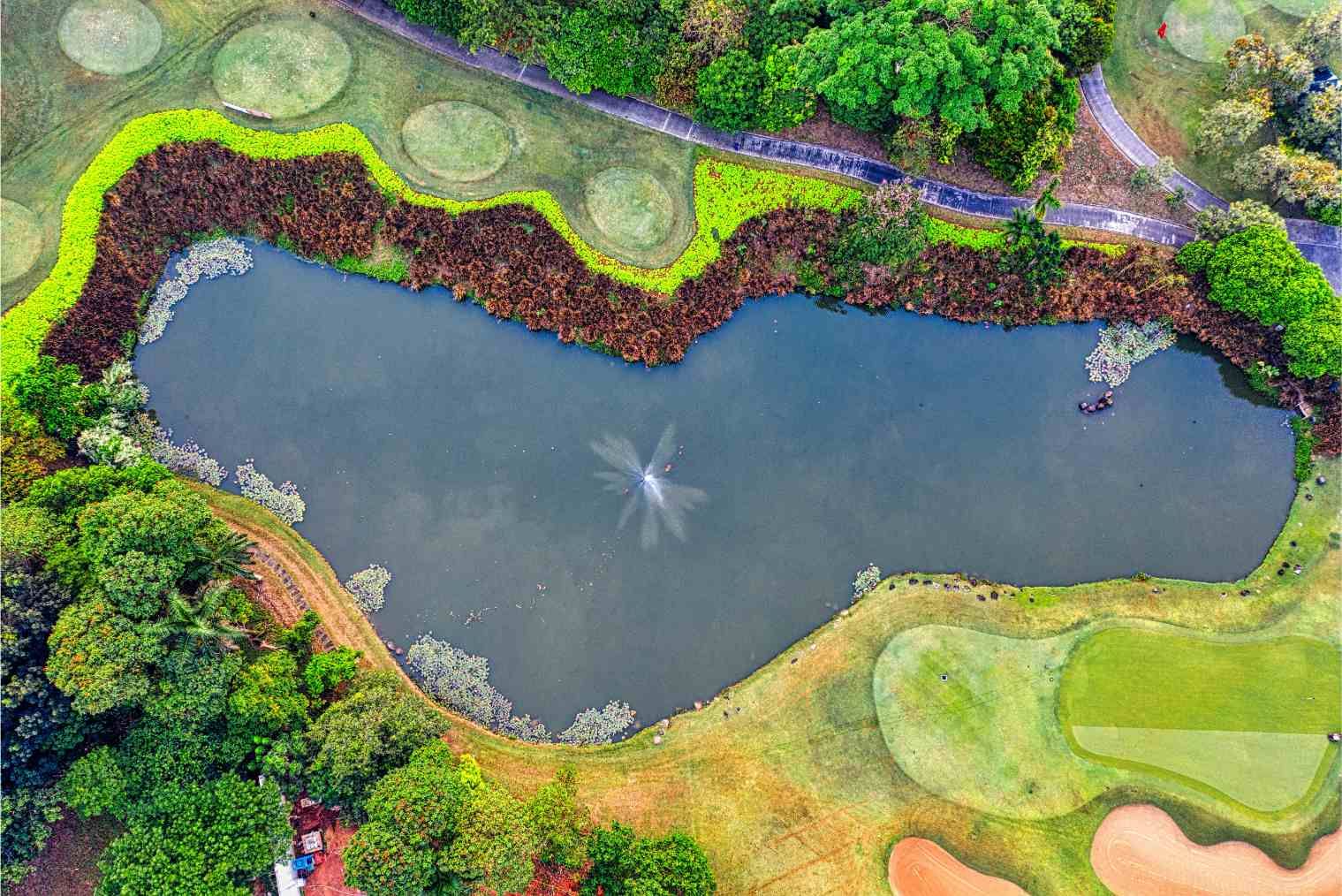 A beautiful pond with a floating fountain and a variety of aquatic elements in its surroundings.
