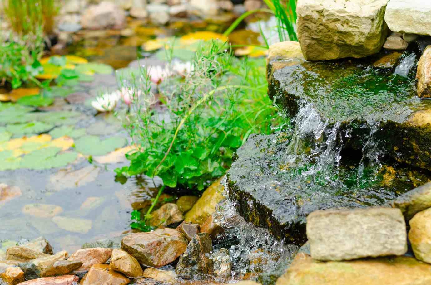 Ecosystem pond in Ybor City, Tampa, showcasing rocks and plants, water flowing from rocks.