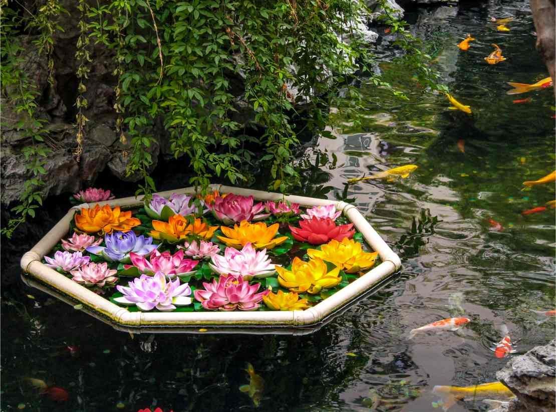 A beautiful pond in New Tampa with vibrant Japanese Koi fish swimming gracefully among aquatic plants and rocks.