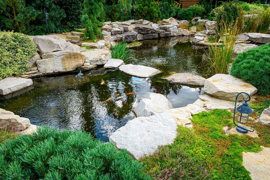 Lovely Koi pond in North Tampa FL serves as a home to colorful fish that add beauty and tranquility to the area.