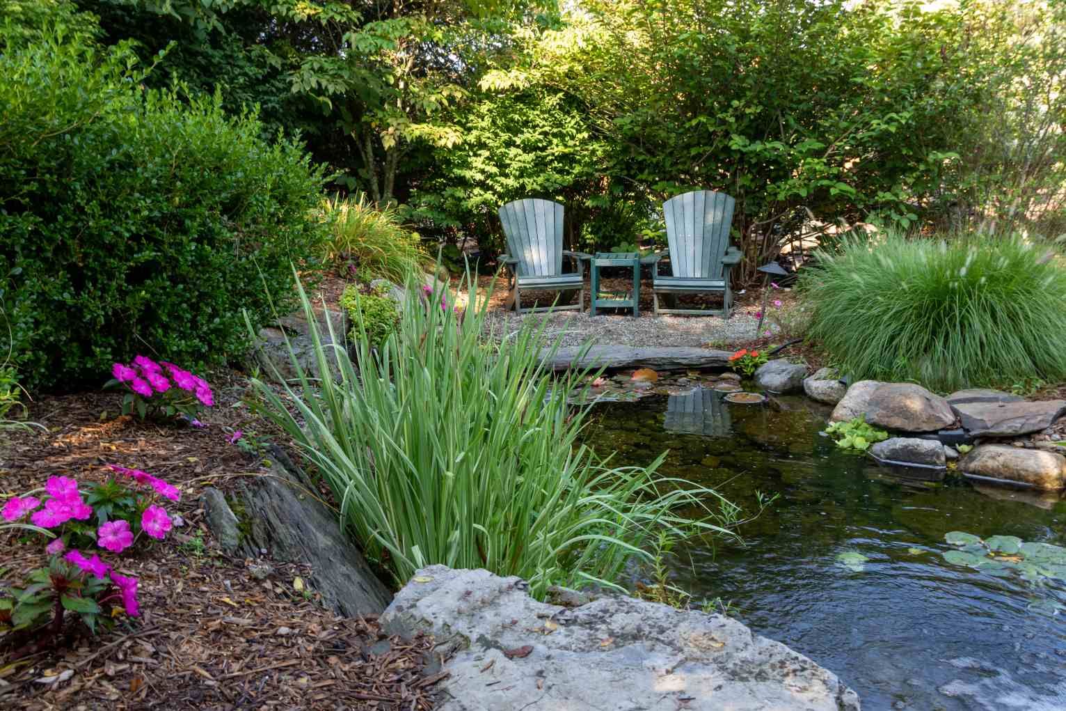 An image of a properly maintained outdoor pond in Tampa FL to preserve its health and beauty.