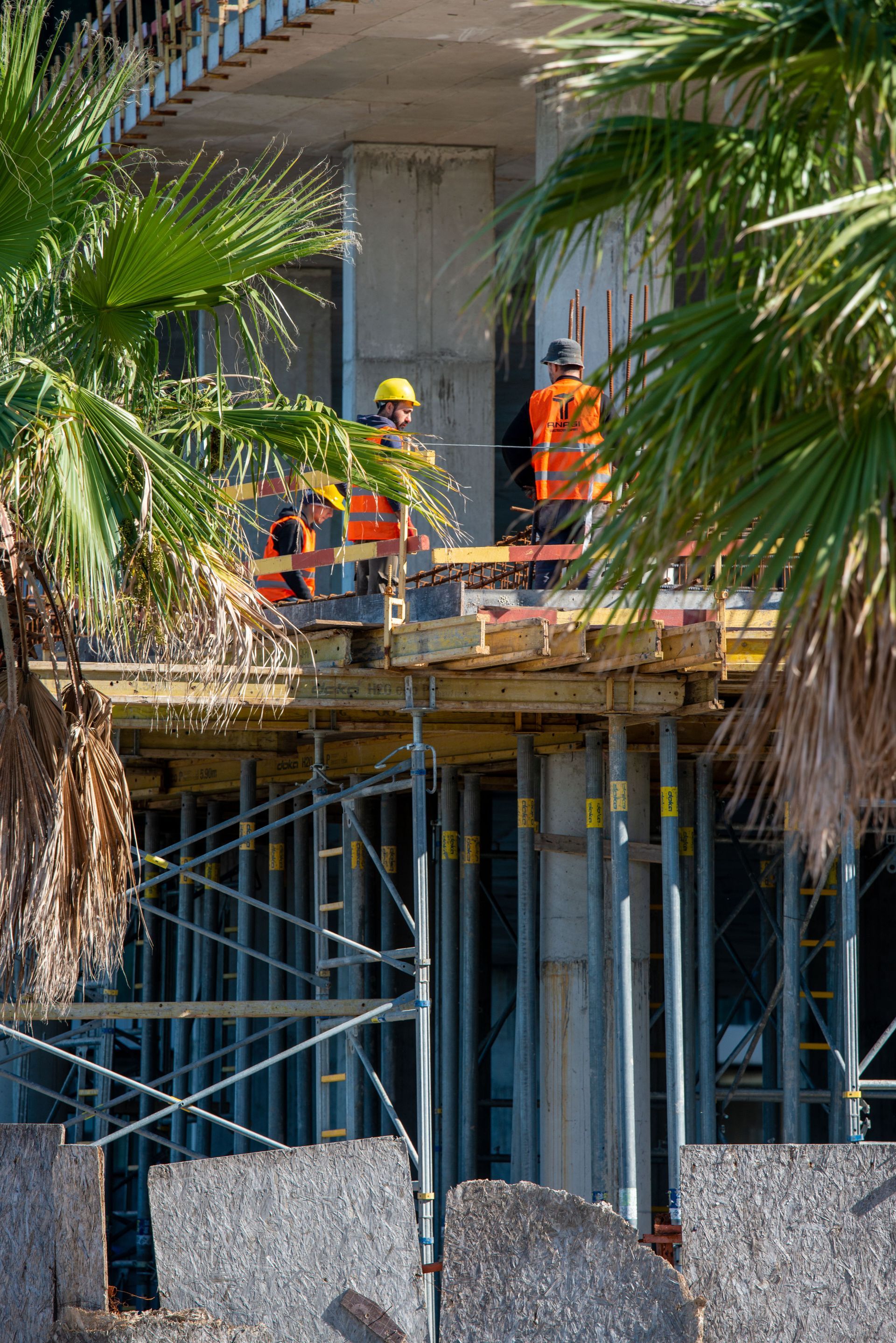 Construction workers on a high-rise scaffold, wearing hard hats and safety gear near palm trees.
