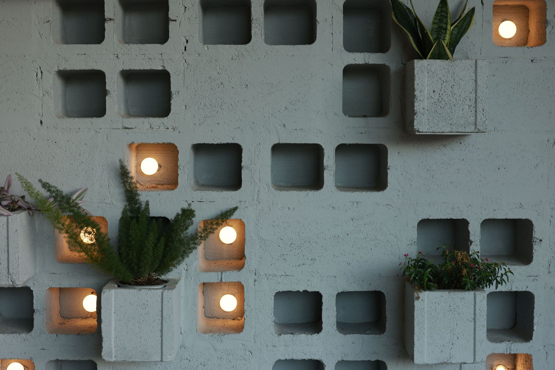 Gray wall with square niches, small warm lights, and potted greenery in a modern geometric arrangement