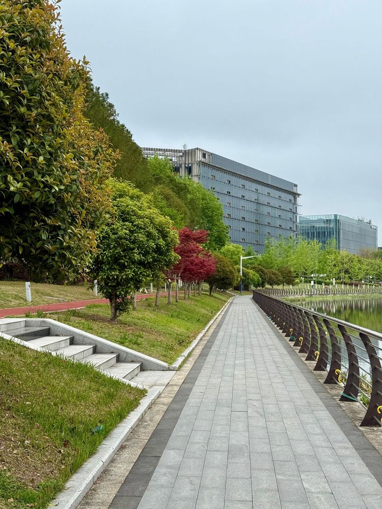 Tree-lined path beside a modern building and landscaped greenery, with stairs on the left and railings on the right.