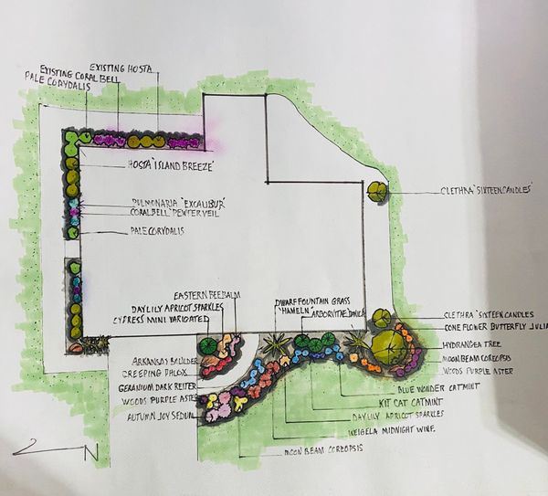 landscaping sketch for home